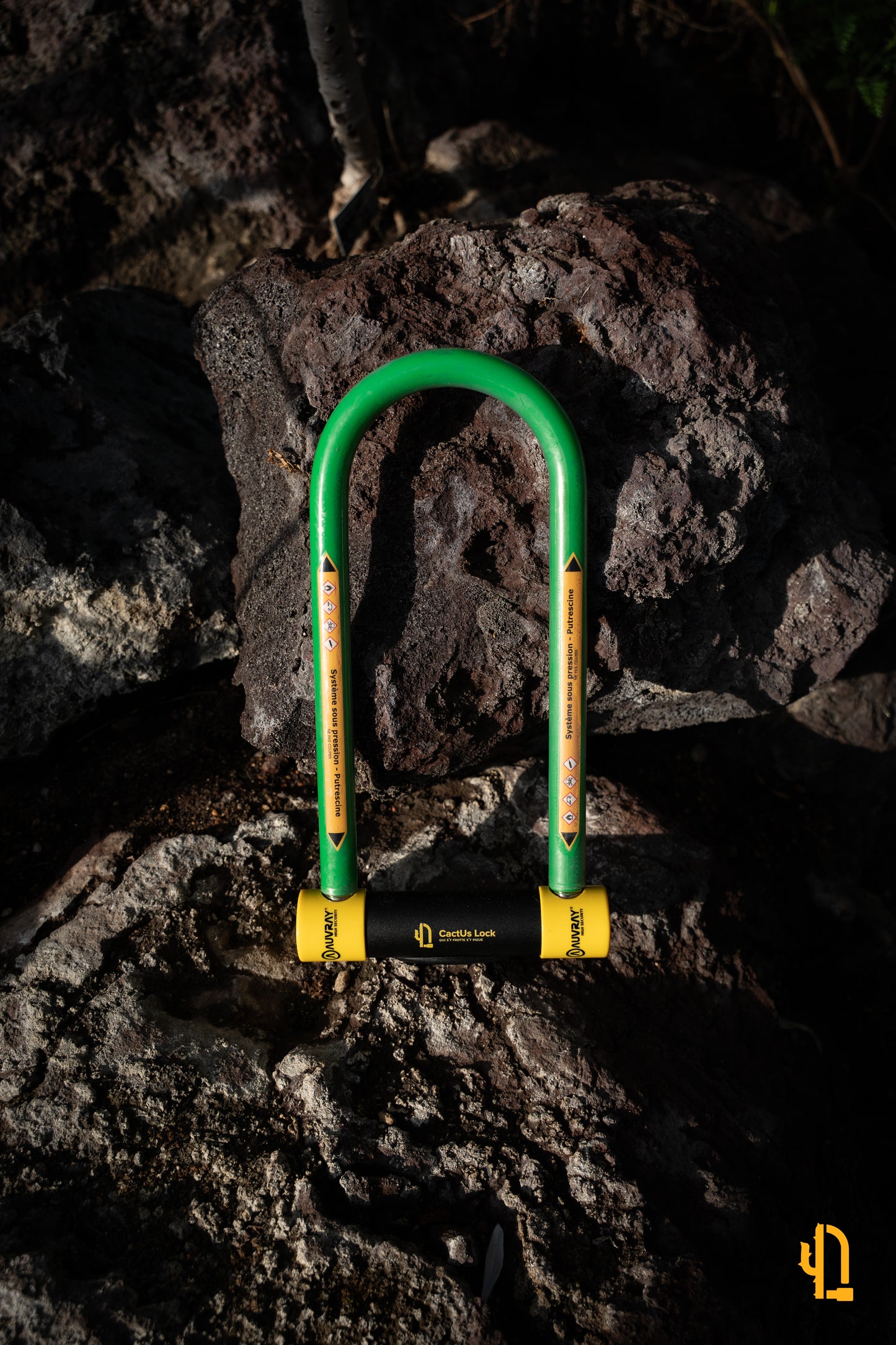 Antivol CactUs Lock présenté sur un fond rocheux, mettant en avant sa robustesse et son design distinctif.