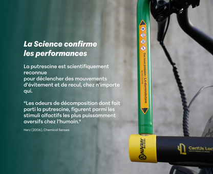 L'HOMOLOGUÉ - ANTIVOL CACTUS