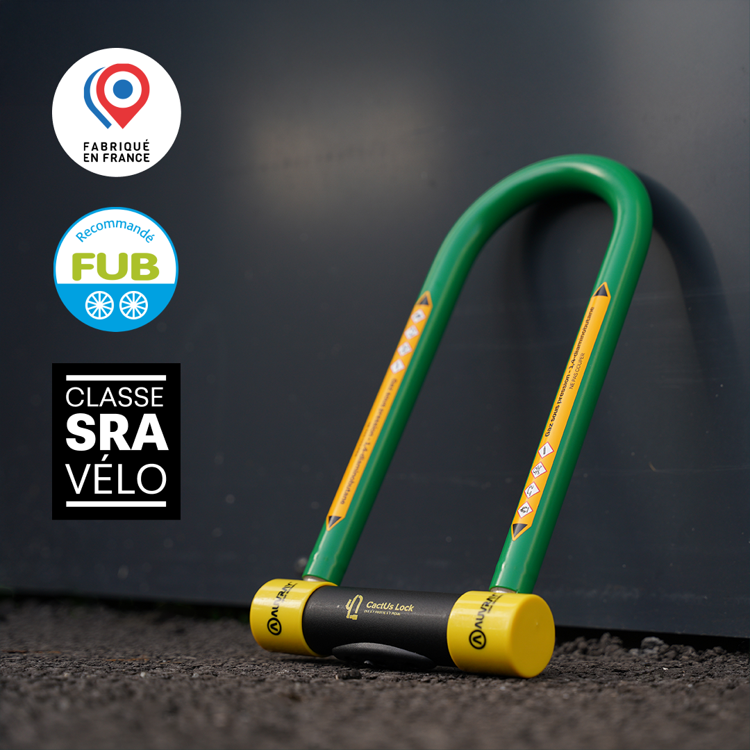 LE CABOSSÉ  - ANTIVOL CACTUS