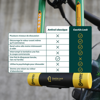 LE CABOSSÉ  - ANTIVOL CACTUS