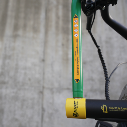 LE CABOSSÉ  - ANTIVOL CACTUS