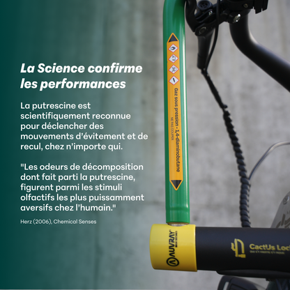 LE CABOSSÉ  - ANTIVOL CACTUS