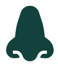 Icône de nez de couleur vert foncée symbolisant le gaz répulsif et l'odeur dissuasive intégrés à l'antivol CactUs Lock.